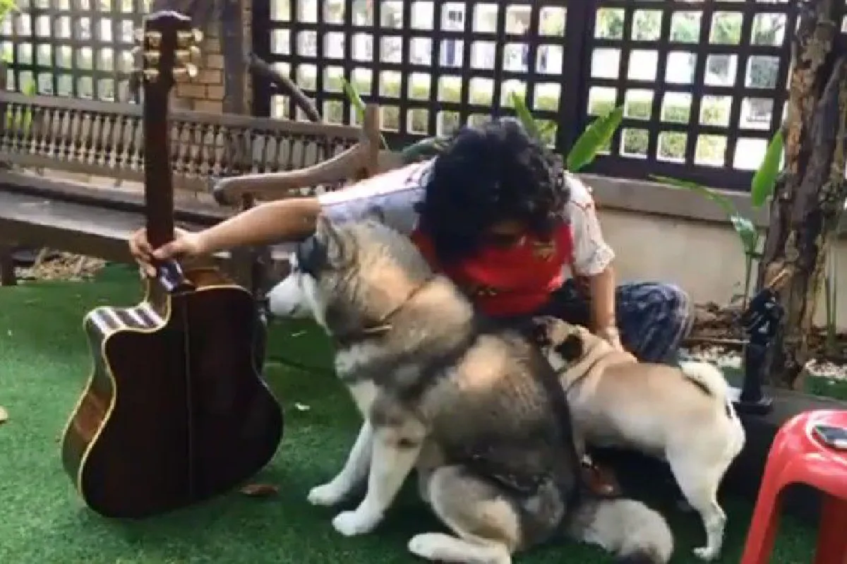 ใจบุญ! "เสก" ครวญเพลงหาเงินช่วยหมาบาดเจ็บ