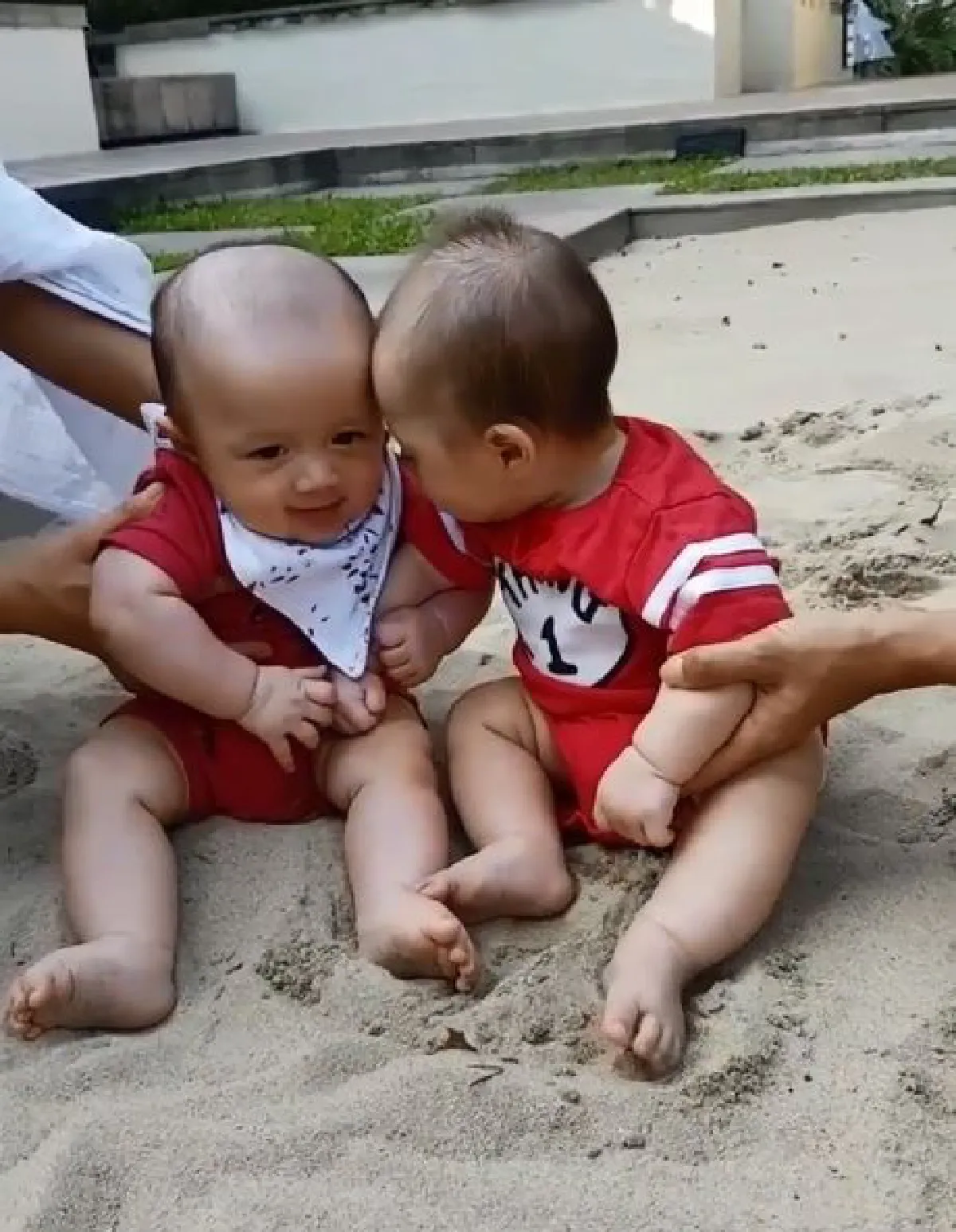 คลิปน่ารัก น้องสายฟ้า-พายุ นั่งเล่นบนทรายมันจะคึกๆหน่อย
