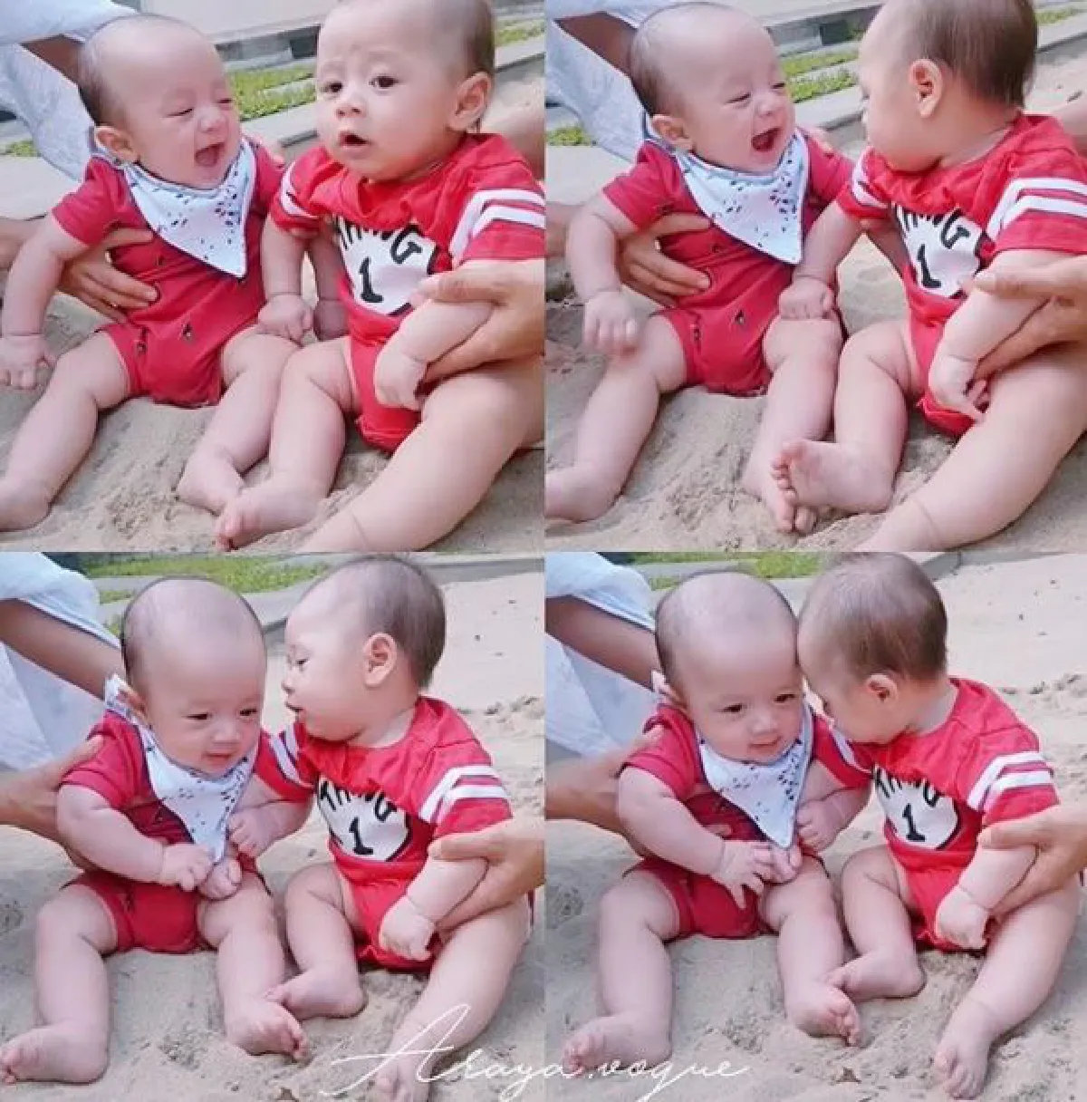 คลิปน่ารัก น้องสายฟ้า-พายุ นั่งเล่นบนทรายมันจะคึกๆหน่อย