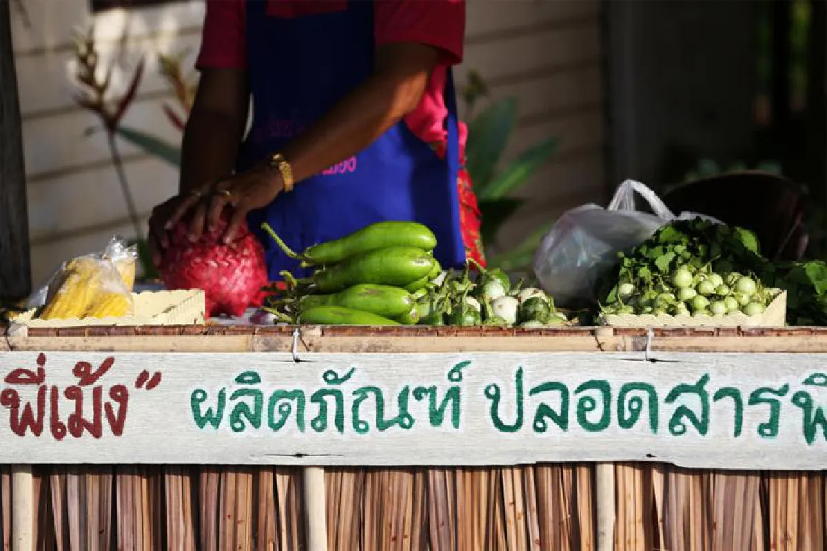 โกกรีนยกตลาด ‘คลองแดน’