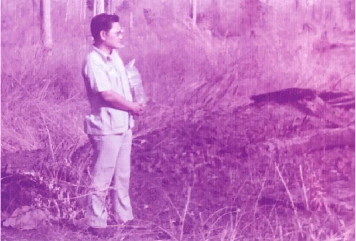 เหมืองแม่ตีบ