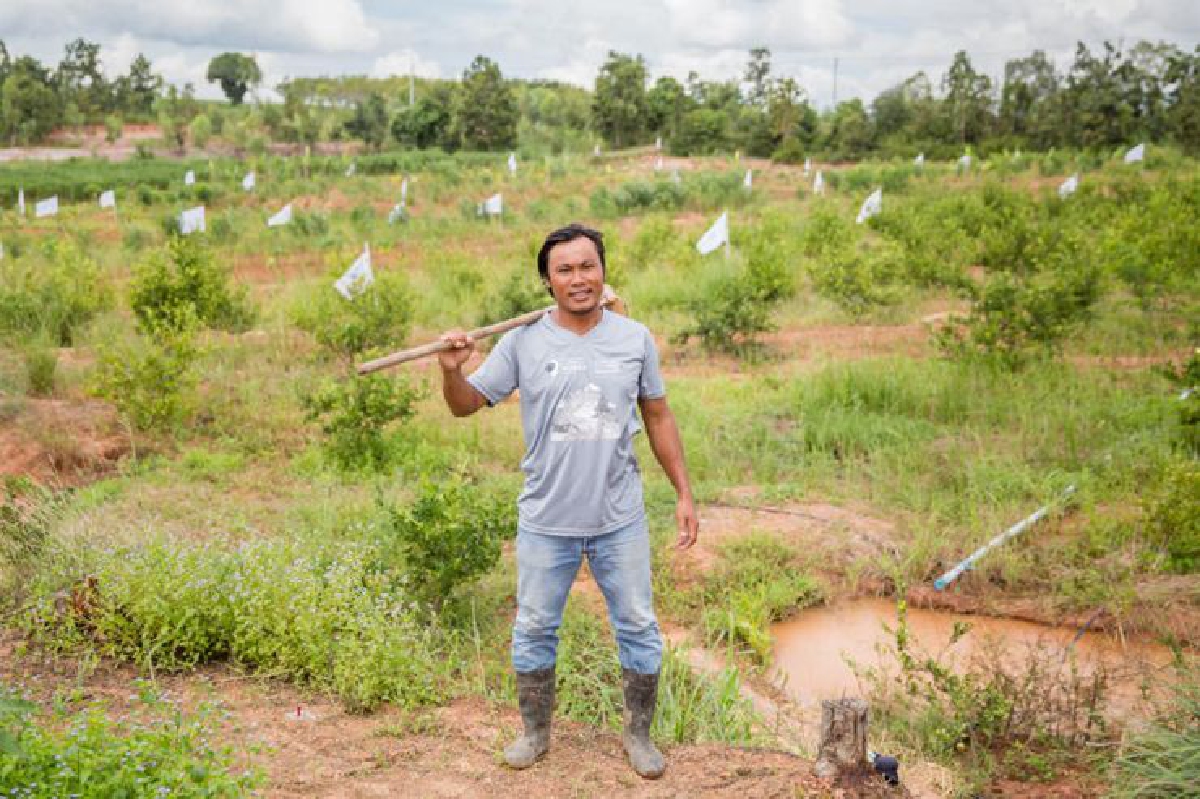 วรวัฒน์ ศรีธรรมบุตร ชีวิตมีสุข ด้วยศาสตร์พระราชา วรวัฒน์ ศรีธรรมบุตร ชีวิตมีสุข ด้วยศาสตร์พระราชา