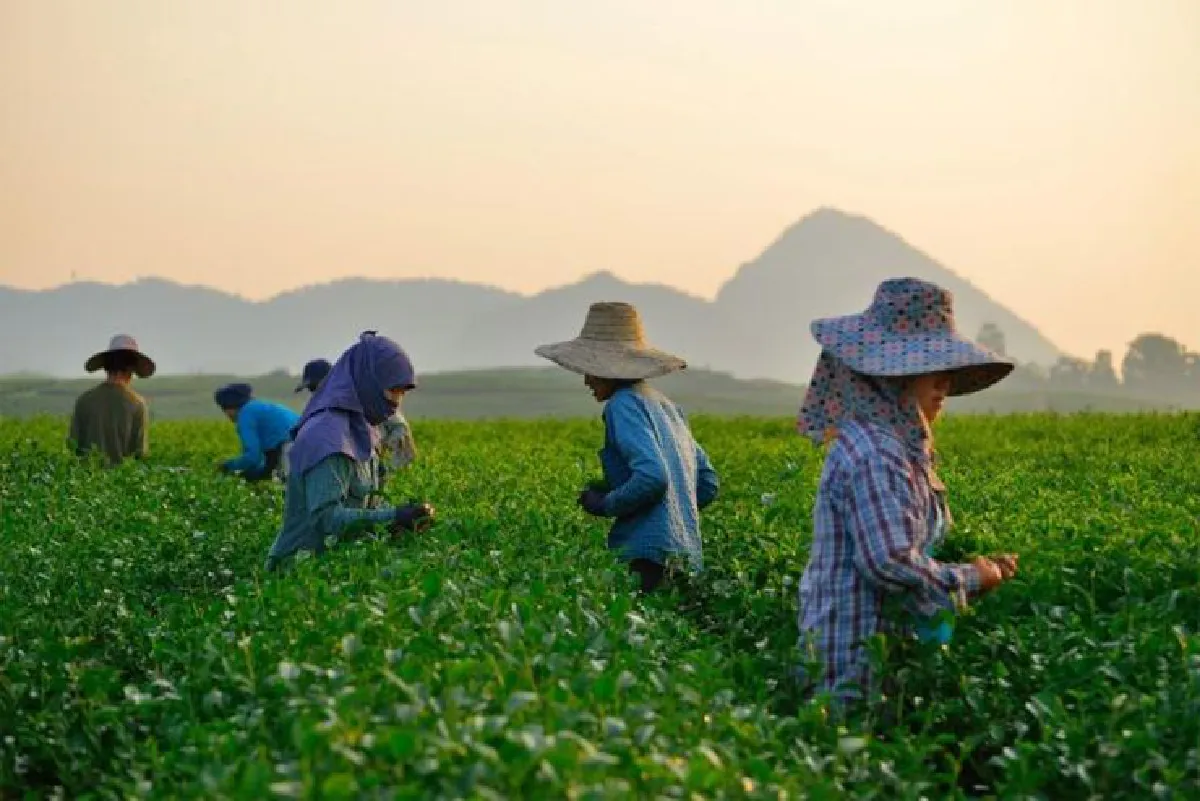 ‘สิงห์ ปาร์ค เชียงราย’ จากแหล่งท่องเที่ยวสู่ชุมชนยั่งยืน