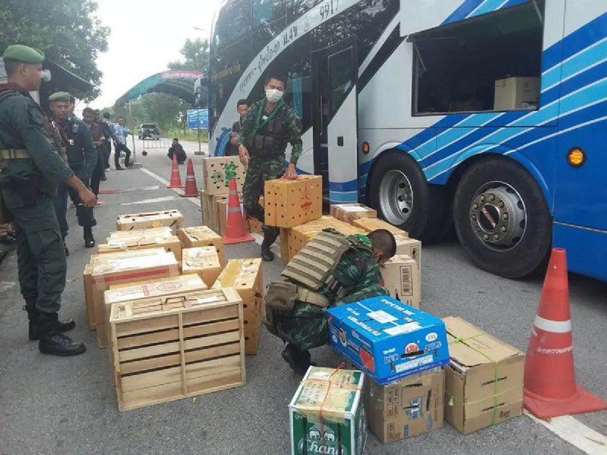 หยุดรังแกคนที่ไม่มีทางสู้.. โก๊ะตี๋ ถามค้าขายไก่ชนผิดร้ายแรงเหรอ?