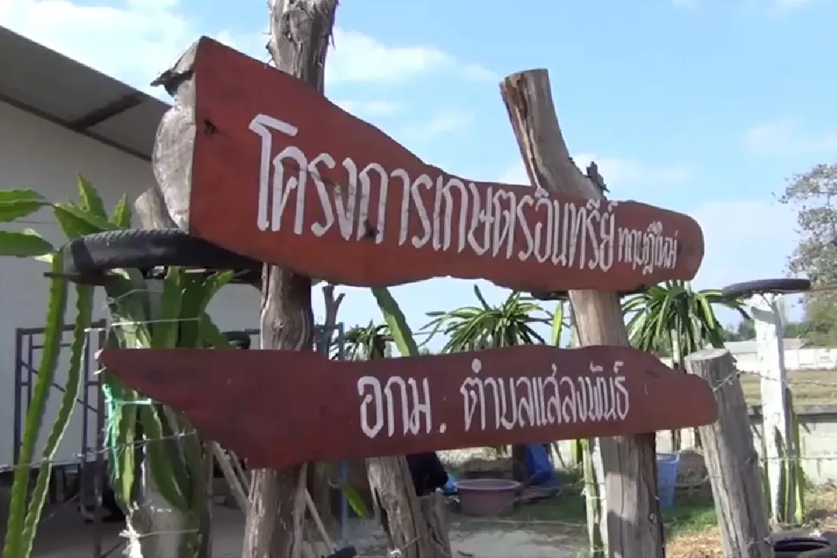 ผืนดินพลิกชีวิตหนุ่มใหญ่อดีตผู้รับเหมาสู่เกษตรกรดีเด่นประจำเภอ