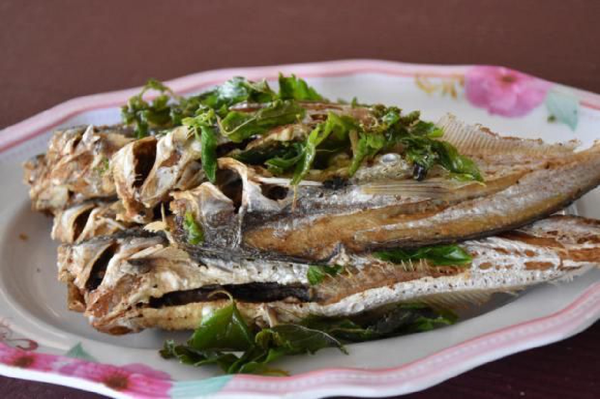 ร้านบุญชู ปลามูล เมนูสดๆ จากเขื่อนราษีไศล ร้านบุญชู ปลามูล เมนูสดๆ จากเขื่อนราษีไศล
