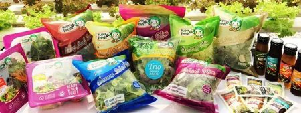 ‘Super Fresh’ ซูเปอร์ผักสลัด