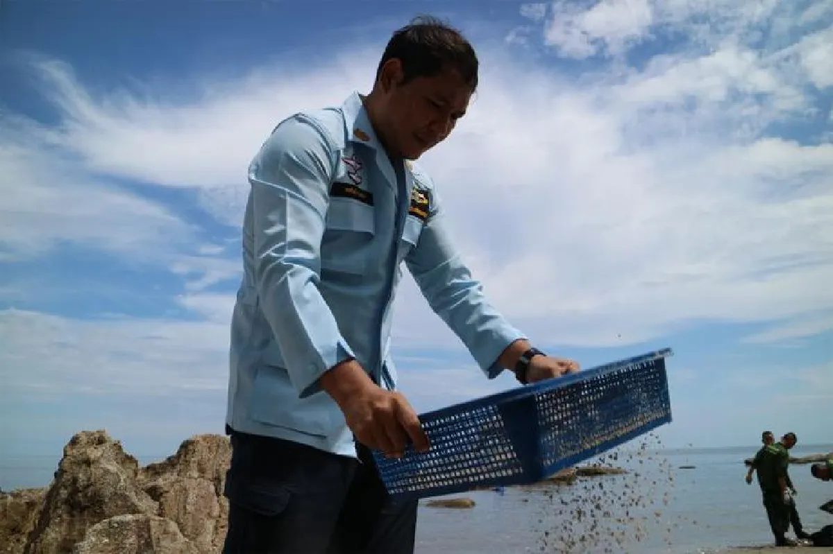 คุมเข้ม24หาดทั่วไทย ต้องไร้ควันบุหรี่