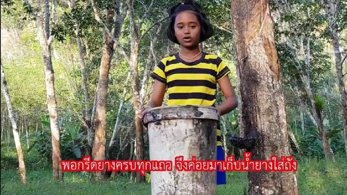 "เปิดใจเด็กแคว๊กขี้ยาง" คลิปน่ารักท่ามกลางวิกฤตราคายาง