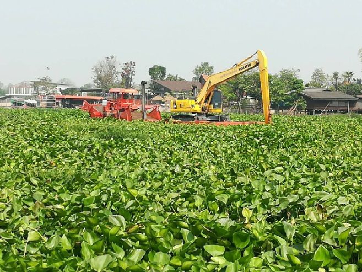 กรมโยธาธิการและผังเมือง ร่วมกับจังหวัดนครปฐม องค์การบริหารส่วนจังหวัดนครปฐม อำเภอนครชัยศรี องค์การบริหารส่วนตำบลบางแก้วฟ้า และจิตอาสา กรมโยธาธิการและผังเมือง ร่วมกับจังหวัดนครปฐม องค์การบริหารส่วนจังหวัดนครปฐม อำเภอนครชัยศรี องค์การบริหารส่วนตำบลบางแก้วฟ้า และจิตอาสา