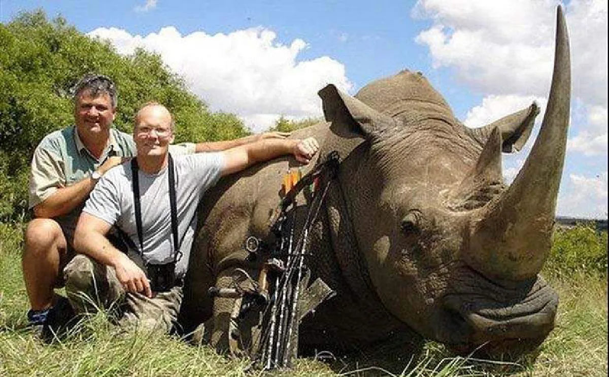 "พัลเมอร์" หมอนายพรานผู้ฆ่า "สิงโตเซซิล" จากผู้ล่าสุดท้ายถูกสังคมตามล่า