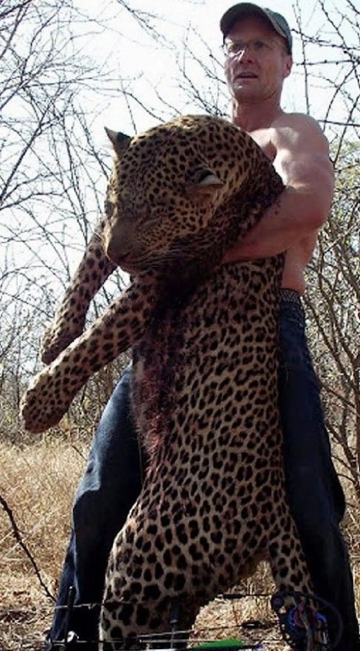 "พัลเมอร์" หมอนายพรานผู้ฆ่า "สิงโตเซซิล" จากผู้ล่าสุดท้ายถูกสังคมตามล่า