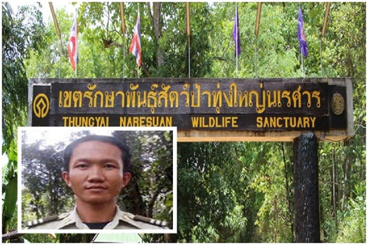เสียงจากฮีโร่ 'ทุ่งใหญ่' ยังมีอีก 200 ชีวิตที่ควรเป็นห่วง เสียงจากฮีโร่ 'ทุ่งใหญ่' ยังมีอีก 200 ชีวิตที่ควรเป็นห่วง