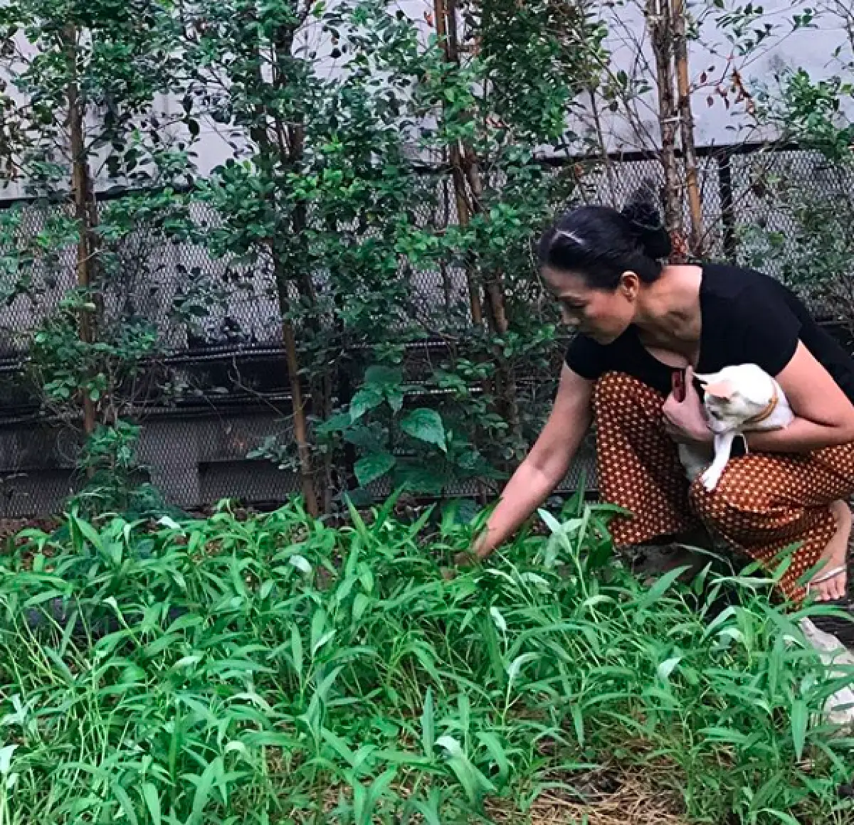 ส่องมุมความสุขของ "กบ ปภัสรา” กับการปลูกพืชผักสวนครัว ทานเองที่บ้าน
