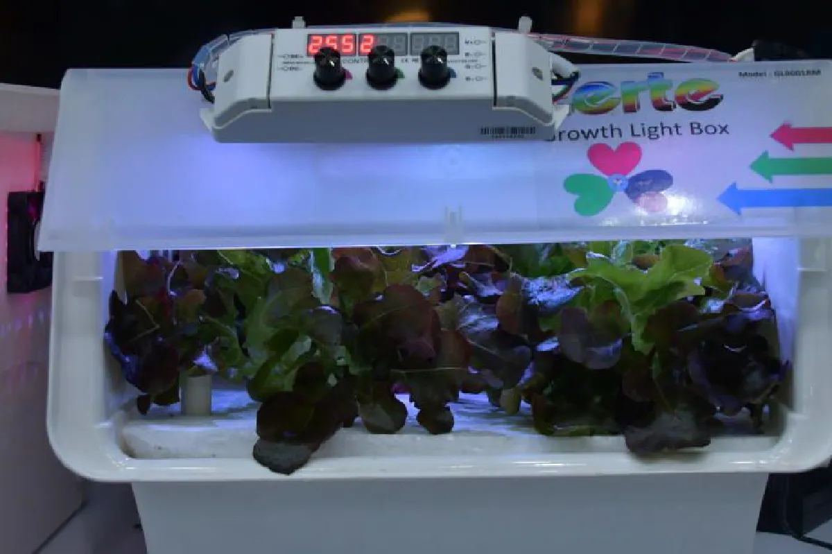 LED Plant Factory เทรนด์ใหม่การเกษตร
