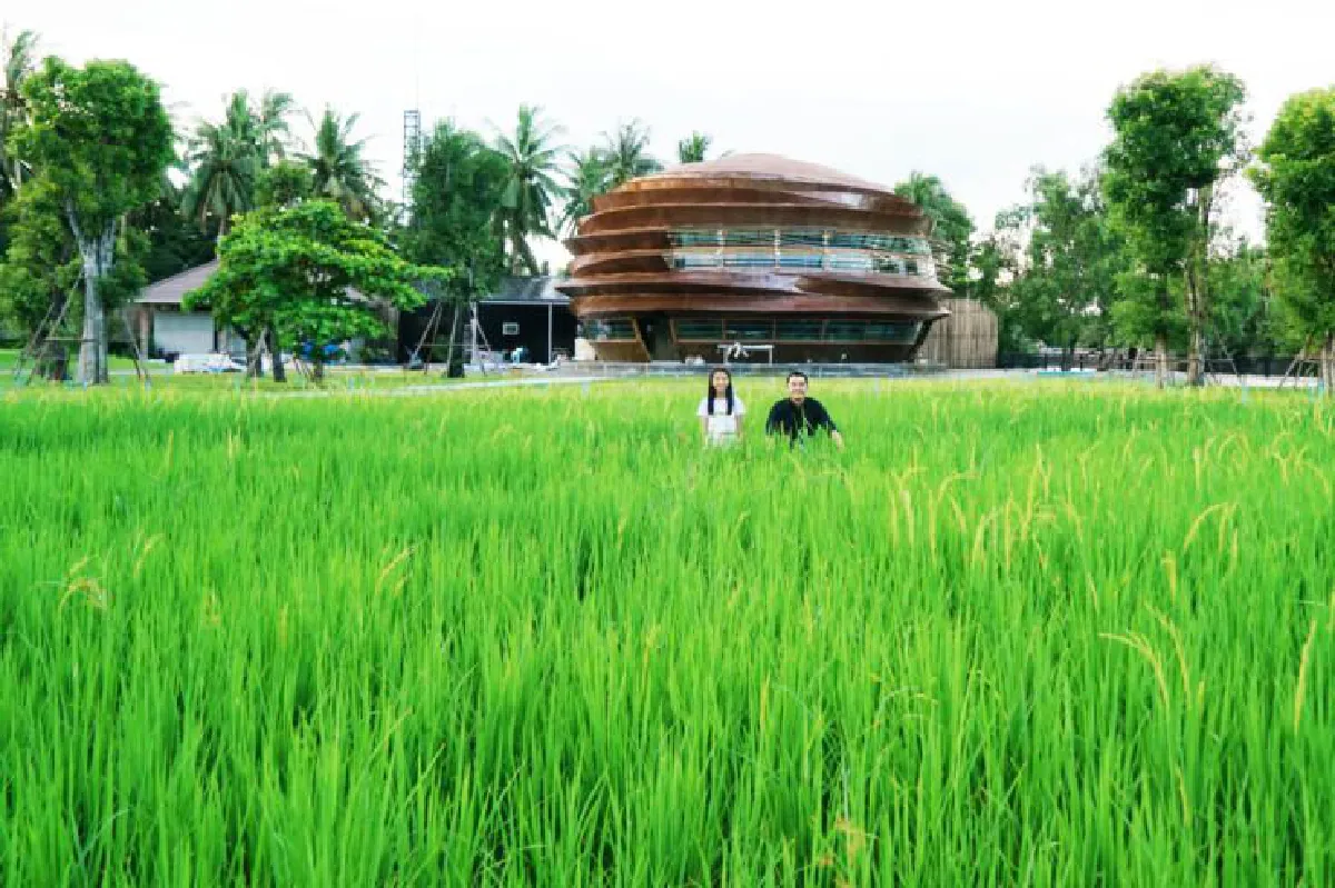เดอะ บัฟฟาโล อัมพวา แสวงหาและค้นพบ จุดบรรจบชีวิตและสายน้ำ