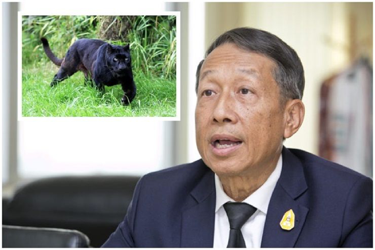 ถลก 'แผนประทุษกรรม' เกมล่าสัตว์ป่าทุ่งใหญ่นเรศวร ถลก 'แผนประทุษกรรม' เกมล่าสัตว์ป่าทุ่งใหญ่นเรศวร