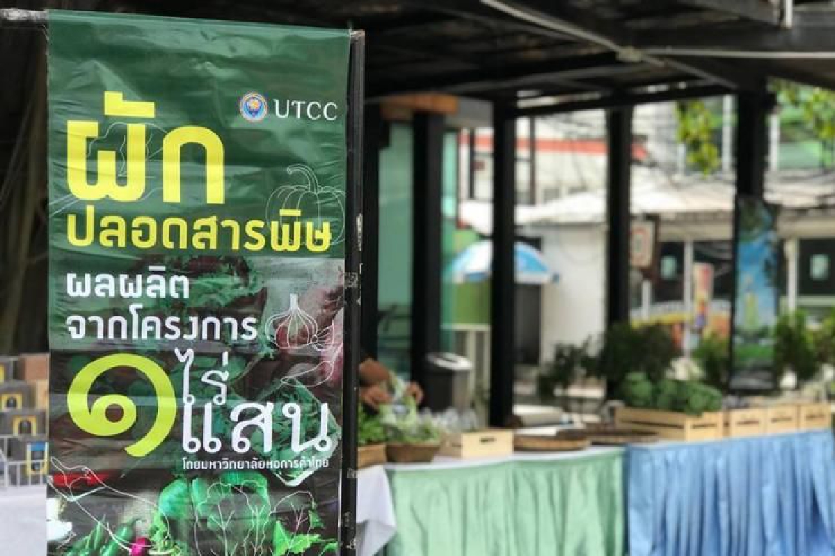 เกษตรอินทรีย์มีดีกรี ช็อปชิลๆ ได้ที่ 1 ไร่ 1 แสน เกษตรอินทรีย์มีดีกรี ช็อปชิลๆ ได้ที่ 1 ไร่ 1 แสน