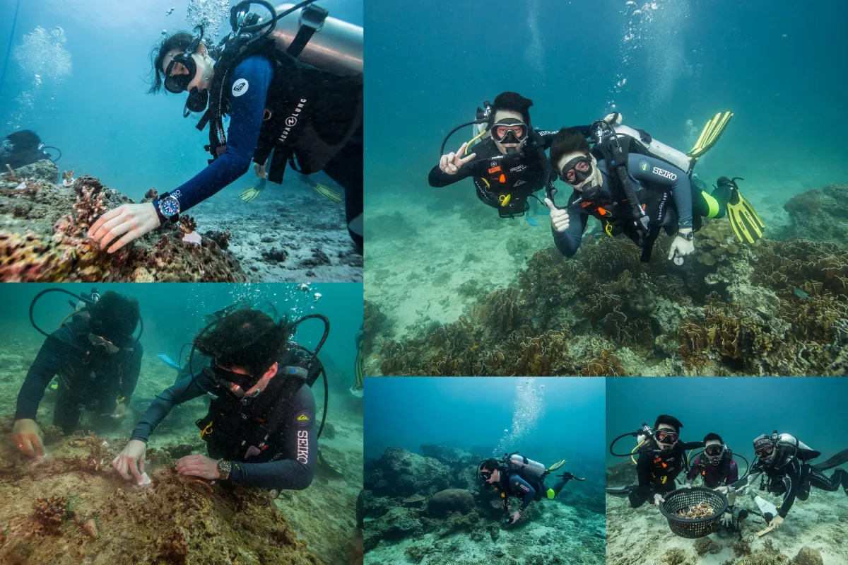 SEIKO Save The Sea เดินหน้าคืนสมดุลให้กับท้องทะเลไทยปีที่ 2