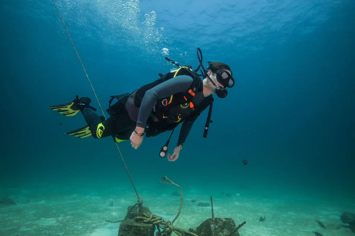 SEIKO Save The Sea เดินหน้าคืนสมดุลให้กับท้องทะเลไทยปีที่ 2