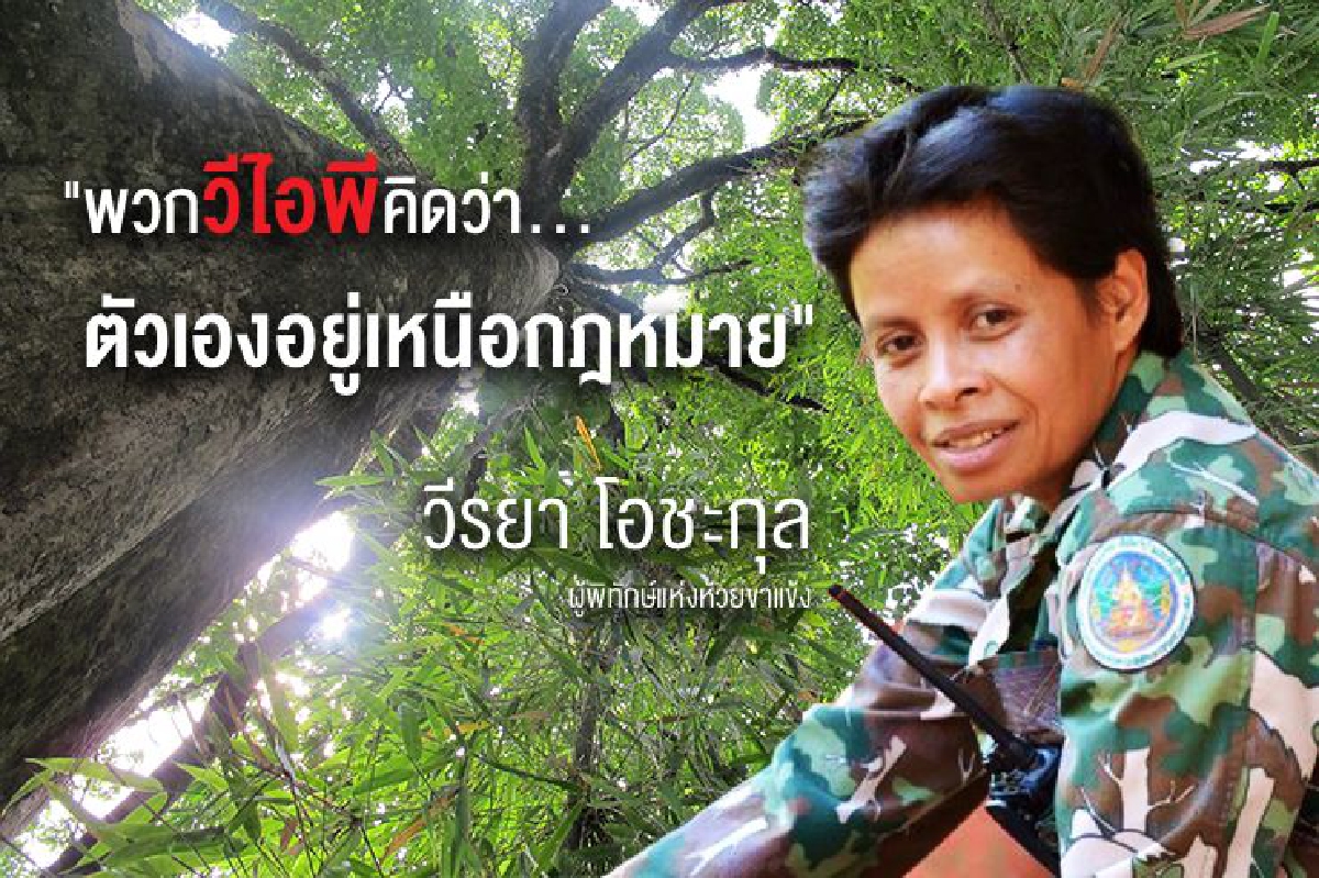 "พวกวีไอพีคิดว่าตัวเองอยู่เหนือกฎหมาย" วีรยา โอชะกุล ผู้พิทักษ์แห่งห้วยขาแข้ง "พวกวีไอพีคิดว่าตัวเองอยู่เหนือกฎหมาย" วีรยา โอชะกุล ผู้พิทักษ์แห่งห้วยขาแข้ง