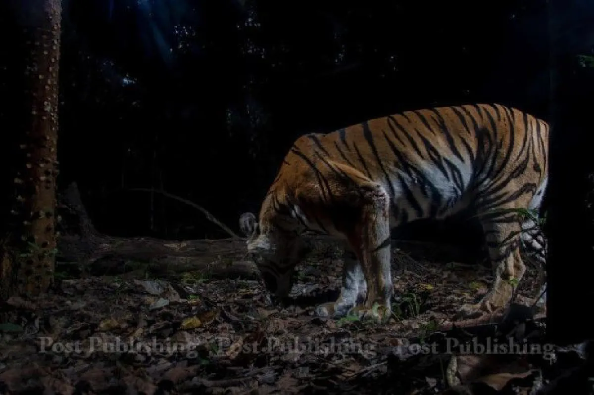 เปลี่ยนความคิด-บังคับใช้กฎหมาย "ยาแก้โรคชอบล่าสัตว์"