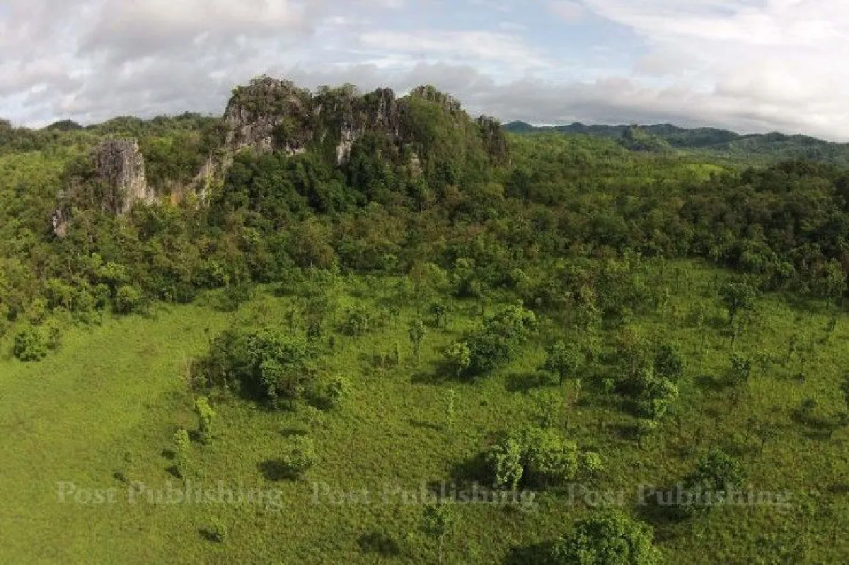 เปลี่ยนความคิด-บังคับใช้กฎหมาย "ยาแก้โรคชอบล่าสัตว์"