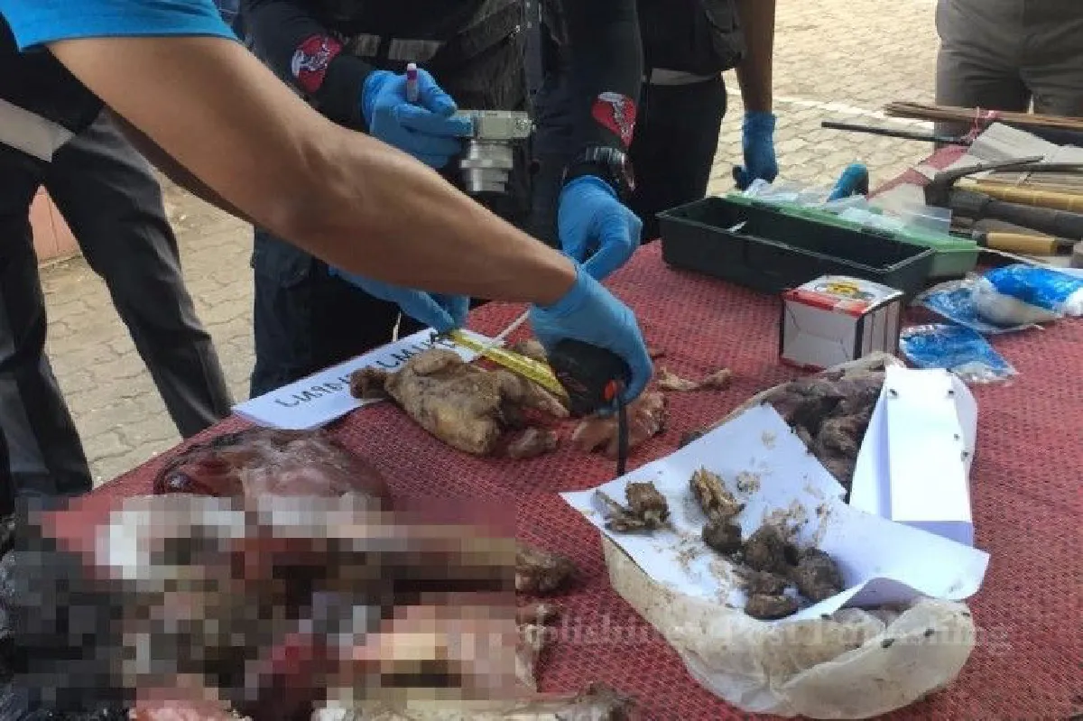 เปลี่ยนความคิด-บังคับใช้กฎหมาย "ยาแก้โรคชอบล่าสัตว์"