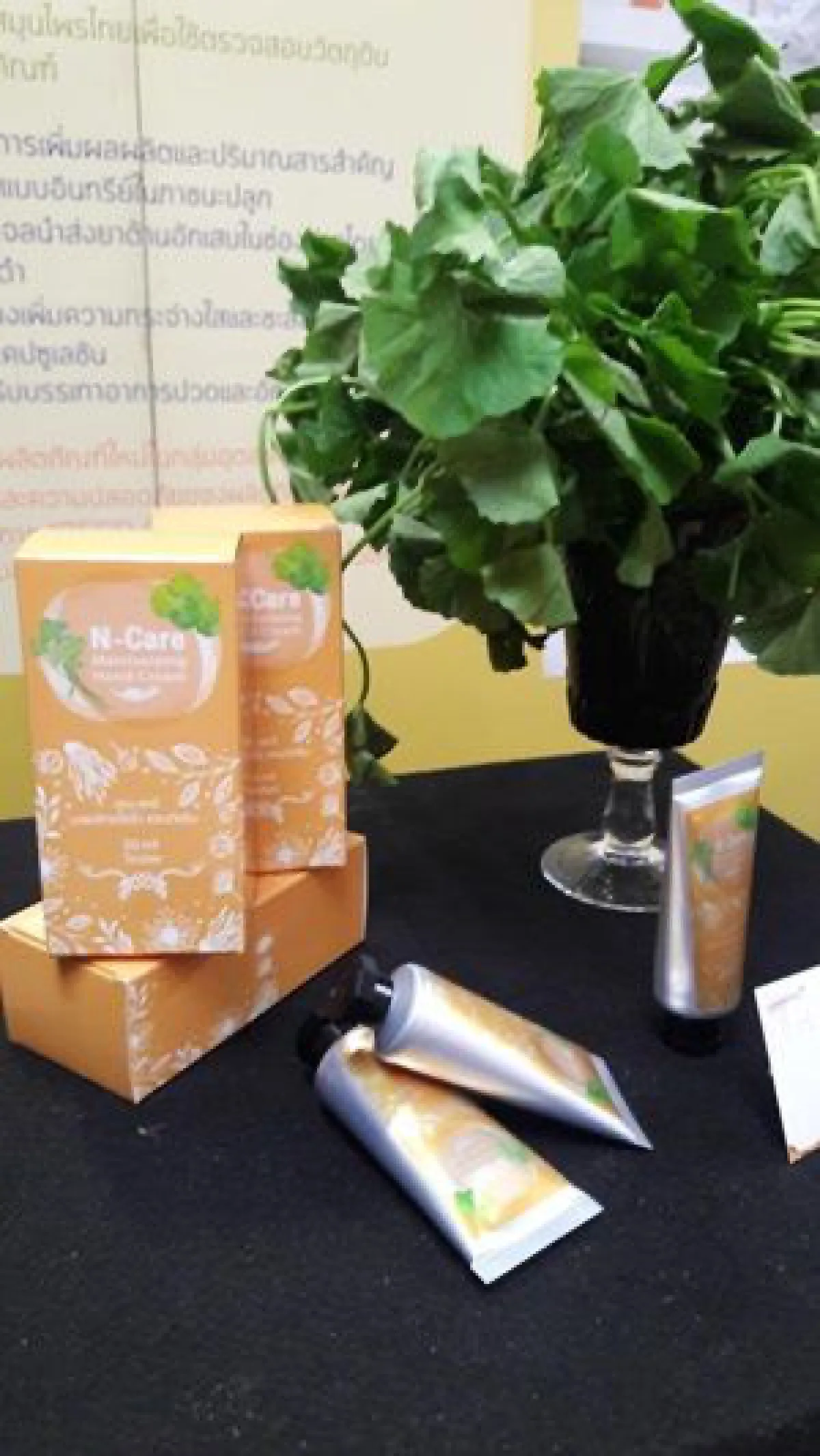 แปลงโฉมสมุนไพรไทย สู่โปรดักต์แชมเปี้ยน