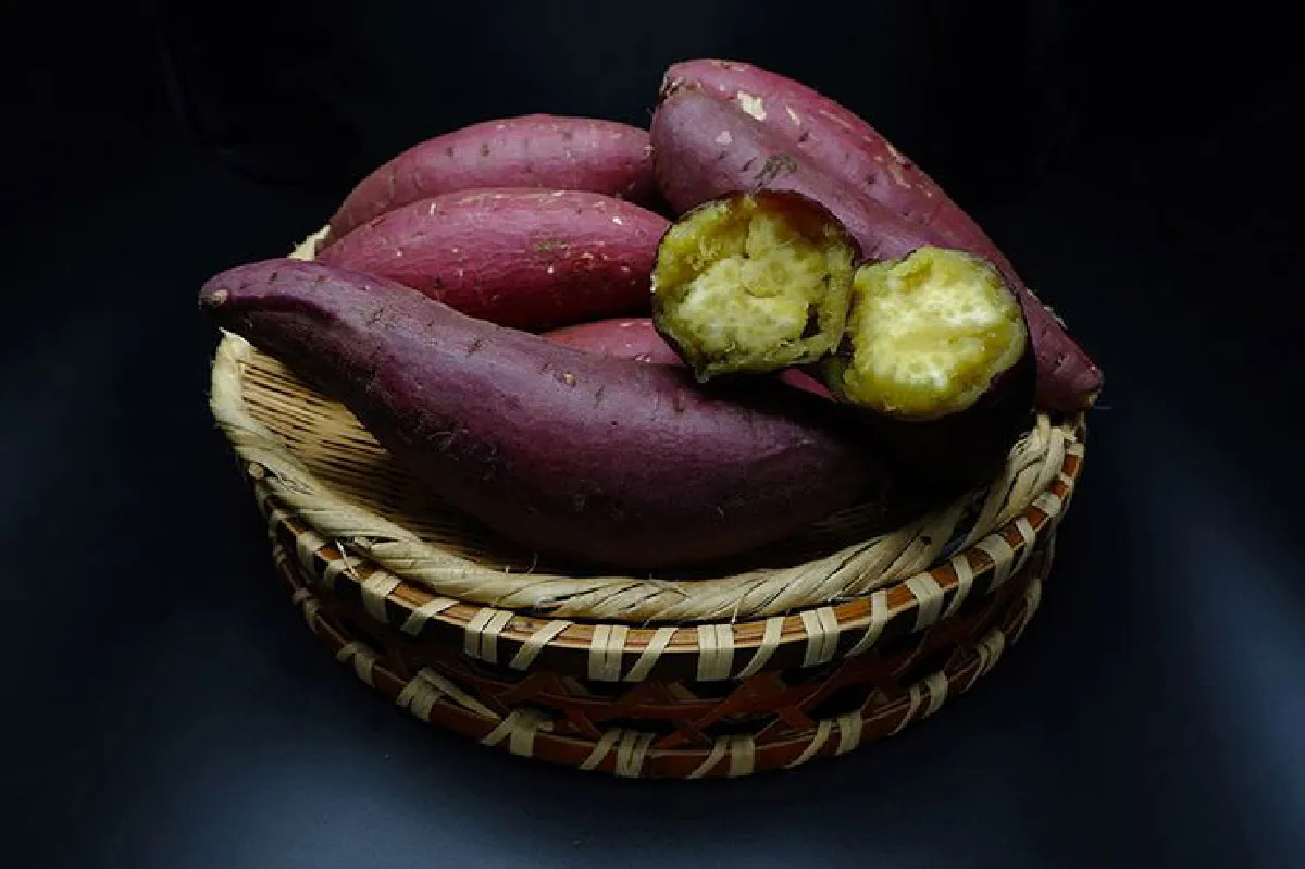 ‘Kushima Food Fair From Japan 2018’   ต้นตำรับแท้ ส่งตรงจากเมืองคุชิมะ