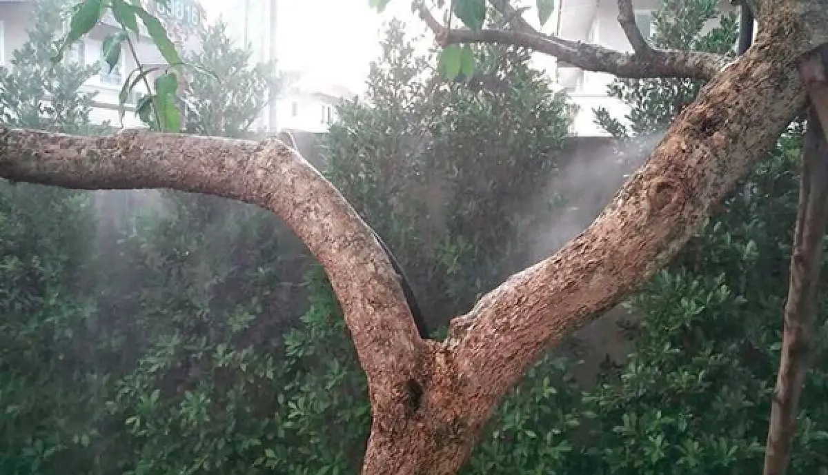 40 ภาพบ้านสุดคลาสสิกของ “กิก ดนัย” สไตล์อเมริกัน อินดัสเทรียล