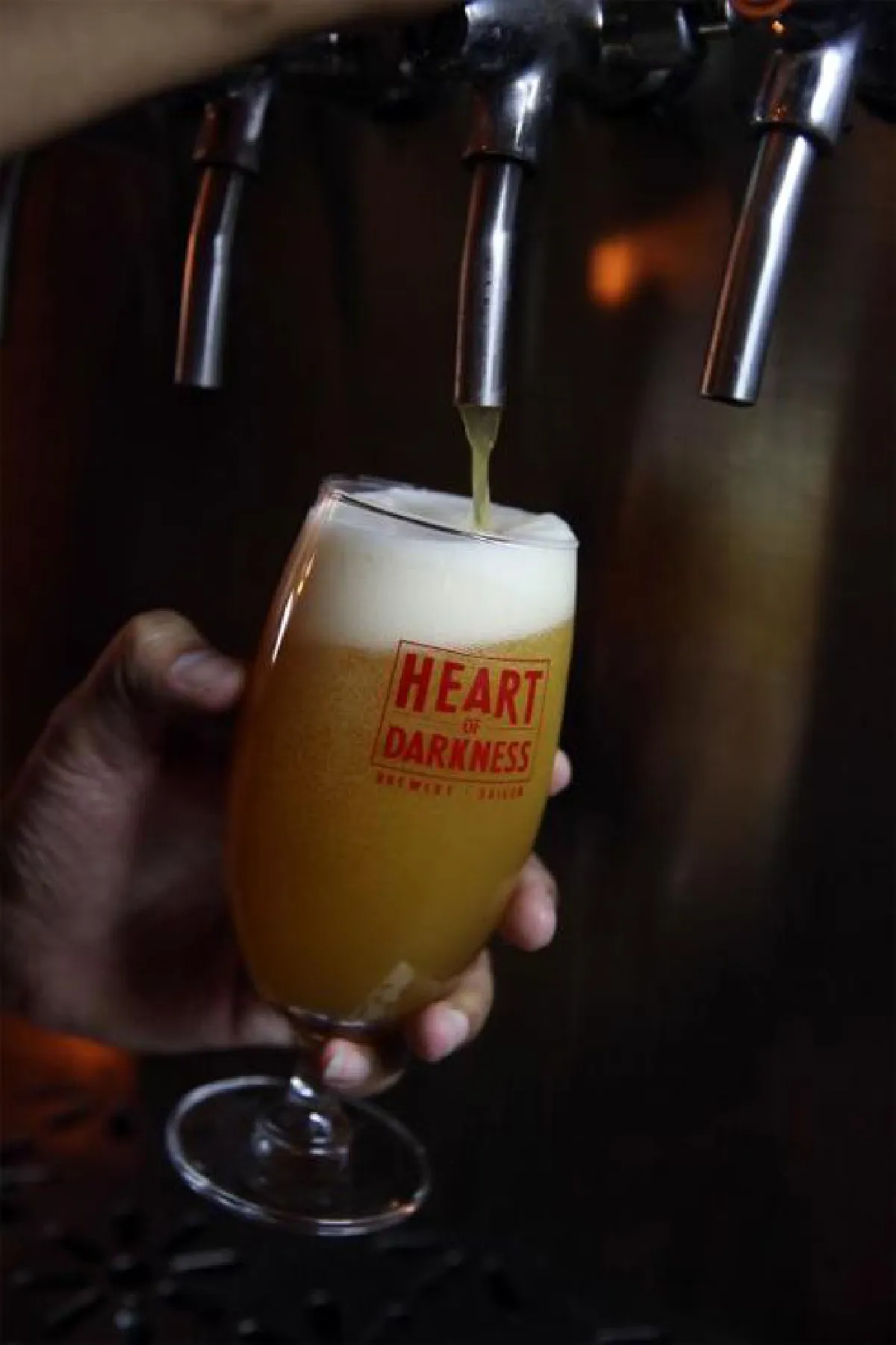 ความสุขเริ่มต้นที่นี่... เอลส์แวร์ ไวนิล คาเฟ่ & บาร์