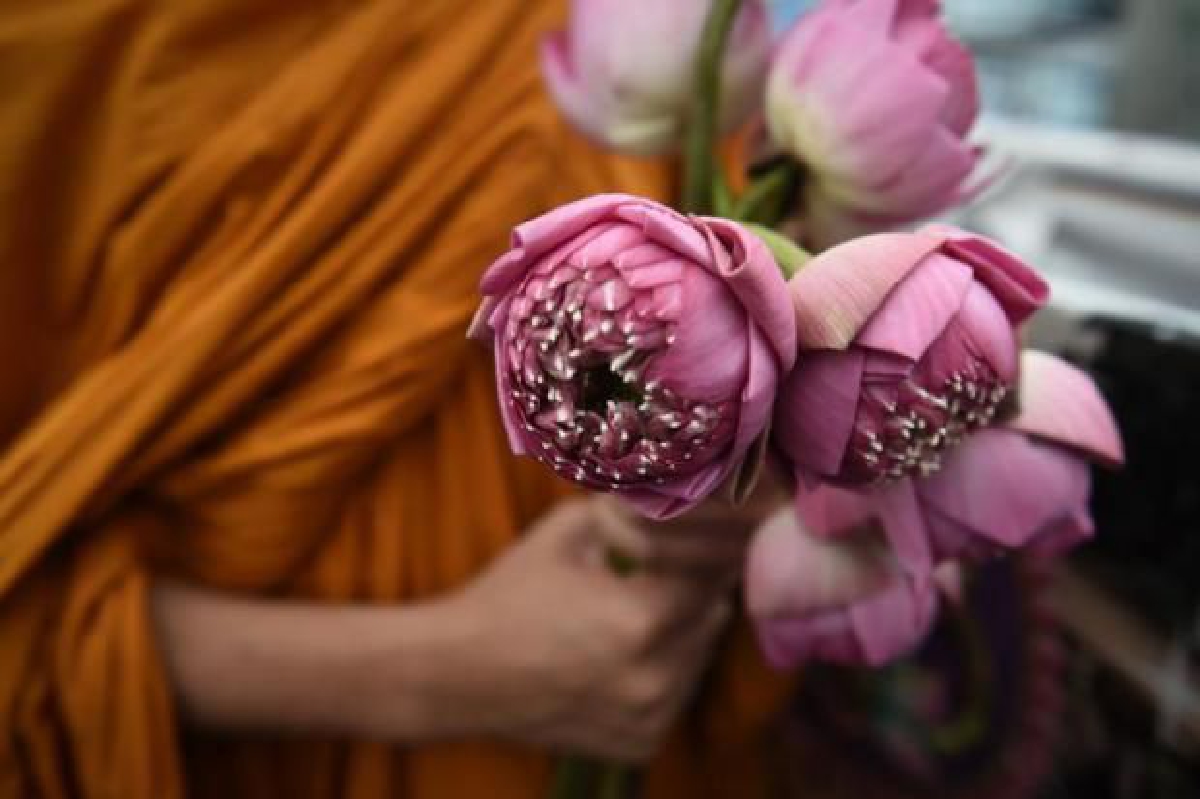 ฉลาดทำบุญ ชาวพุทธที่ดีต้องรู้ ฉลาดทำบุญ ชาวพุทธที่ดีต้องรู้
