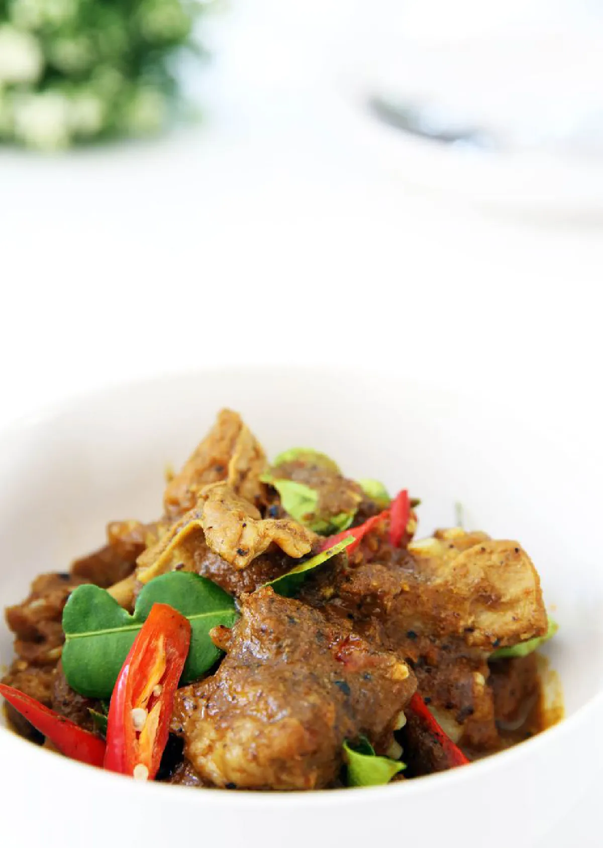 ปลากัด จัดจ้านตามประสาปักษ์ใต้