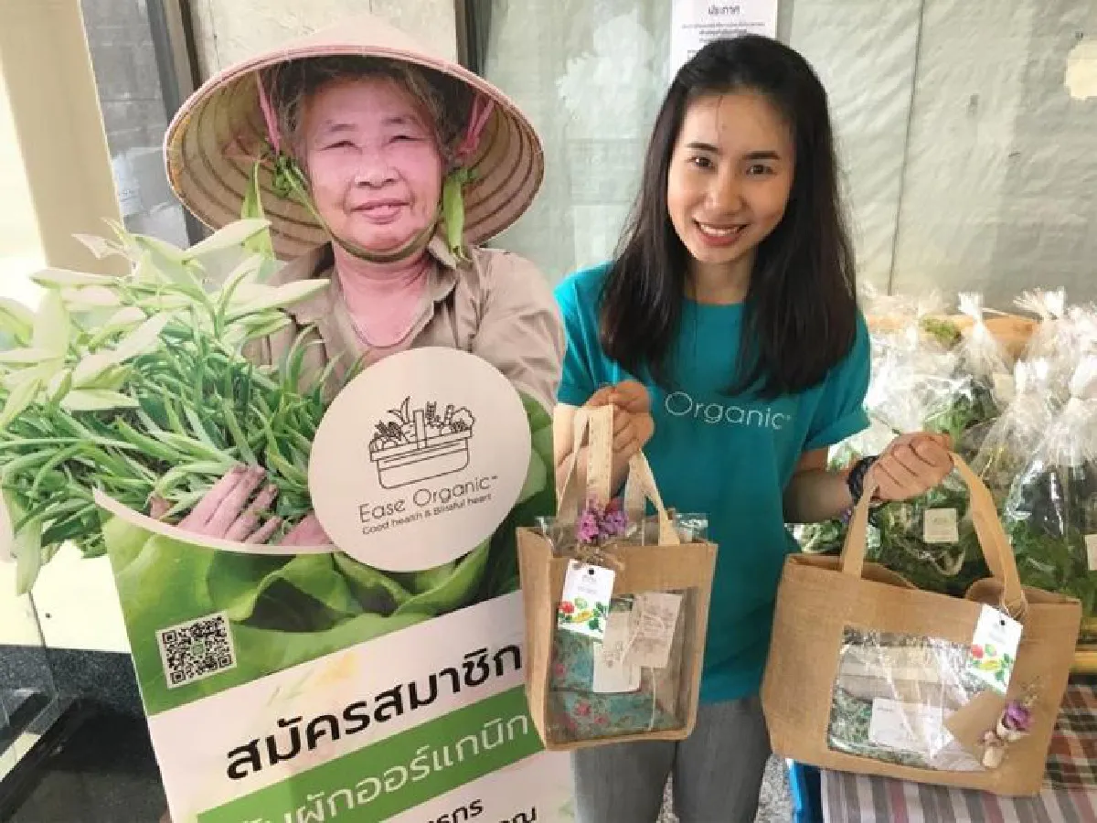 พลังงานบริสุทธิ์ พลังงานเพื่อสังคม