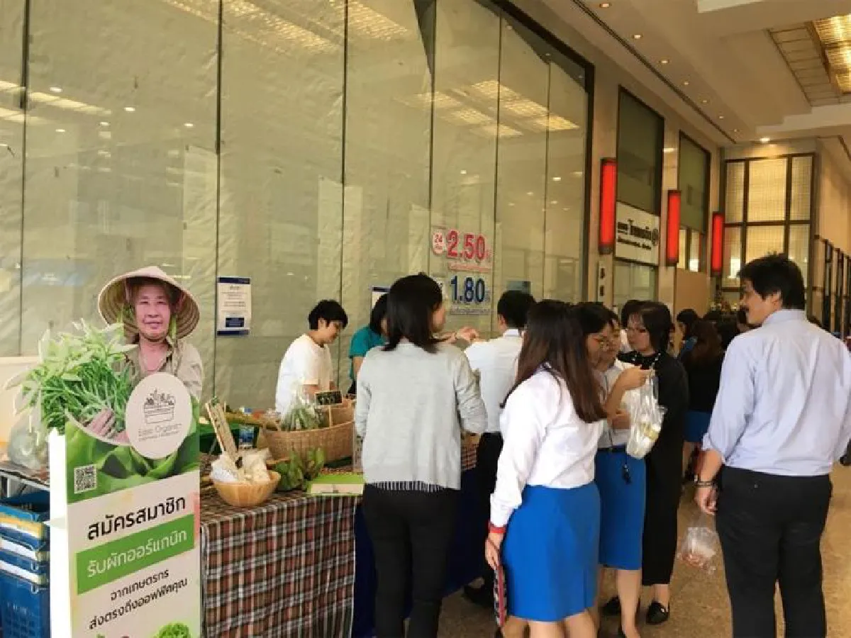 พลังงานบริสุทธิ์ พลังงานเพื่อสังคม