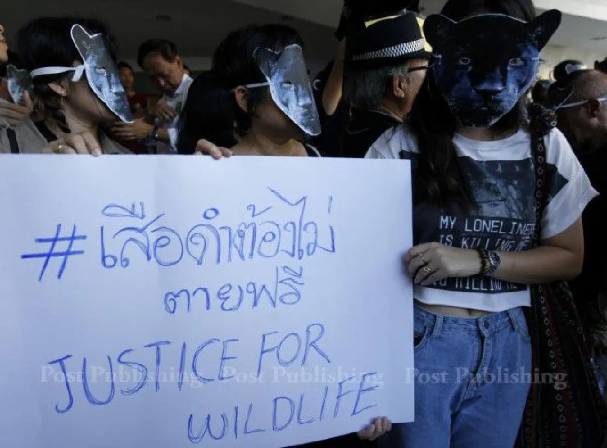 ชมภาพชุด!"หน้ากากเสือดำ"รวมตัวทวงความยุติธรรมให้สัตว์ป่า