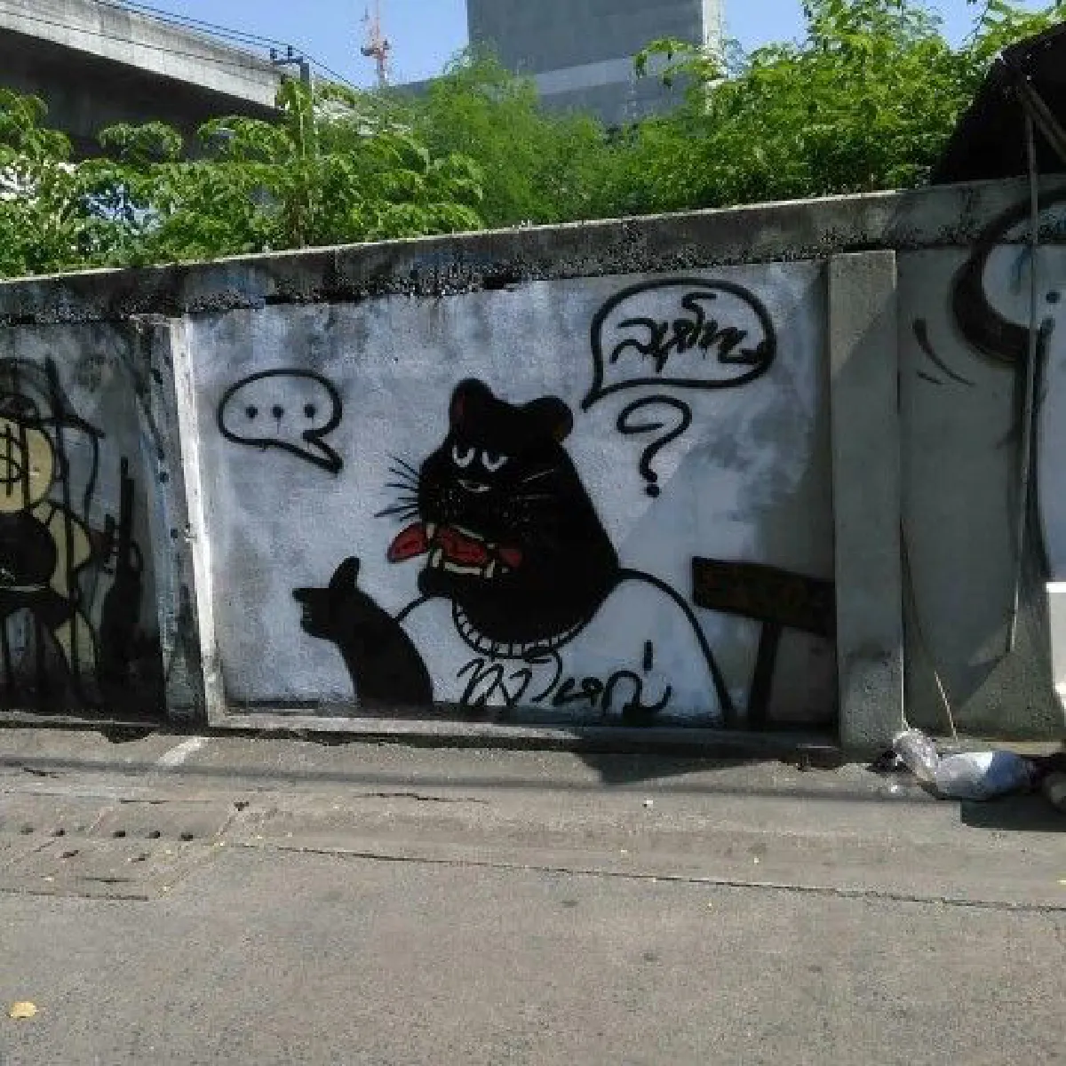 เปิดใจหนุ่มวัย 15 ปี ผู้สร้างสรรค์กราฟฟิตี้เสือดำซ้ำจุดเดิมที่เจ้าหน้าที่เพิ่งลบ