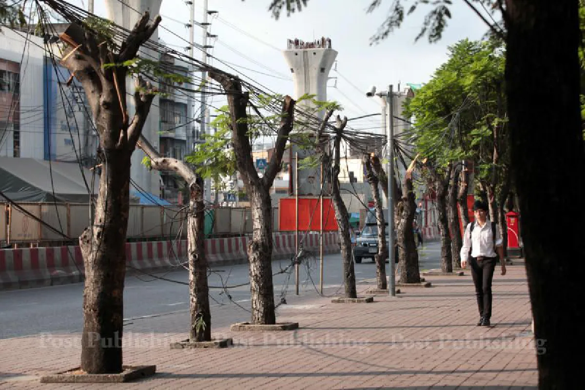 อิตาเลียนไทยฯ ยันตัดต้นไม้หน้า ม.เกษตร ไม่ทำให้ตาย