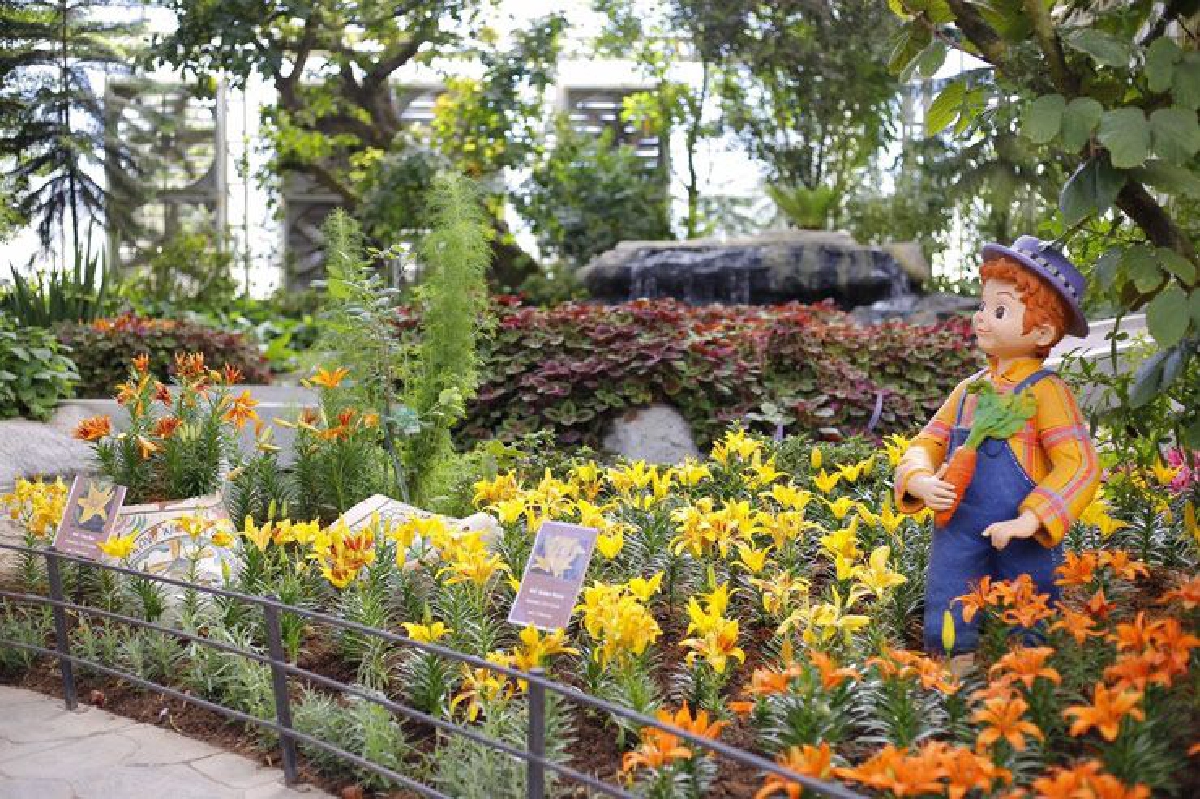 เพ ลา เพลิน บุรีรัมย์ ท้าฤดูร้อนจัดดอกลิลลี่นับหมื่น โชว์สายพันธุ์พิเศษโรสลิลลี่ จากฮอลแลนด์ กับเทศกาลมหัศจรรย์ดอกไม้แห่งรัก Miracle of Love เพ ลา เพลิน บุรีรัมย์ ท้าฤดูร้อนจัดดอกลิลลี่นับหมื่น โชว์สายพันธุ์พิเศษโรสลิลลี่ จากฮอลแลนด์ กับเทศกาลมหัศจรรย์ดอกไม้แห่งรัก Miracle of Love
