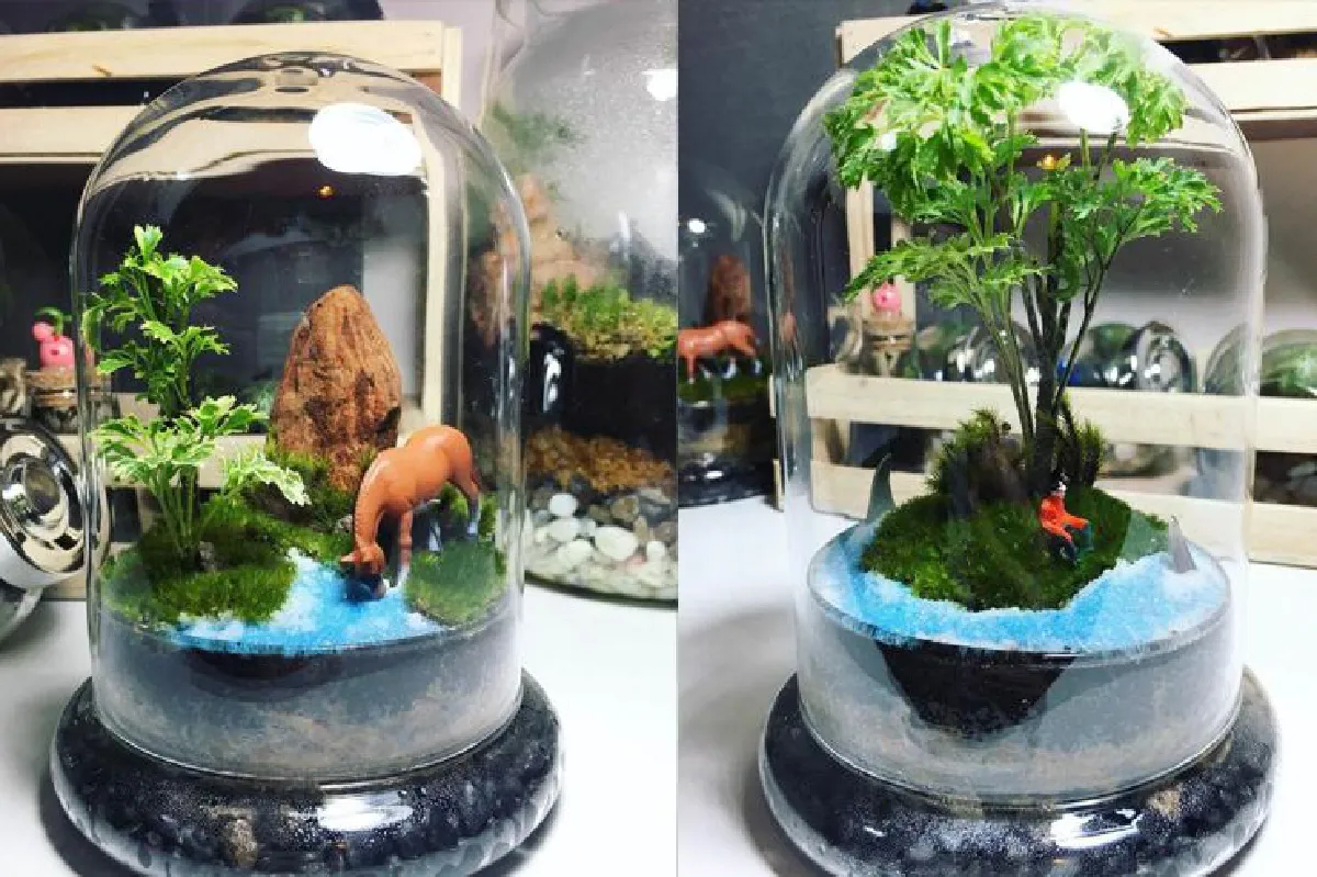 สวนเทอร์ราเรียม ผ่อนคลาย ใจสงบ แถมได้สตางค์