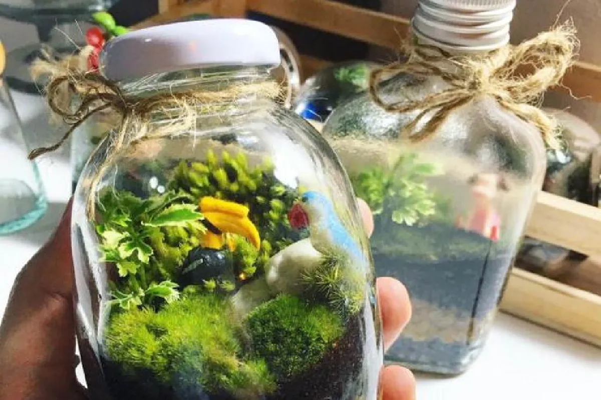 สวนเทอร์ราเรียม ผ่อนคลาย ใจสงบ แถมได้สตางค์