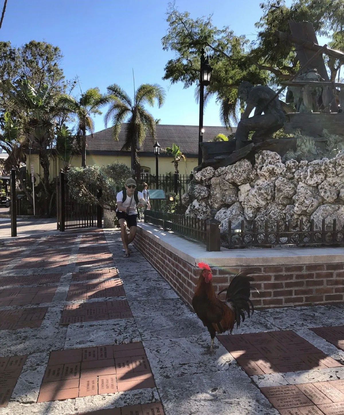 เคลียร์กันแล้ว! ไอจ้อย ลั่นคำขอโทษ..รับผิดคิวเชือกฟาดหัวไก่ชนคู่ใจเต็มๆ