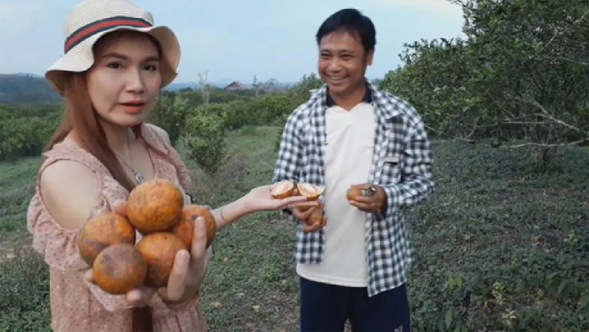 Orange Sky Walk การันตีส้ม GAP