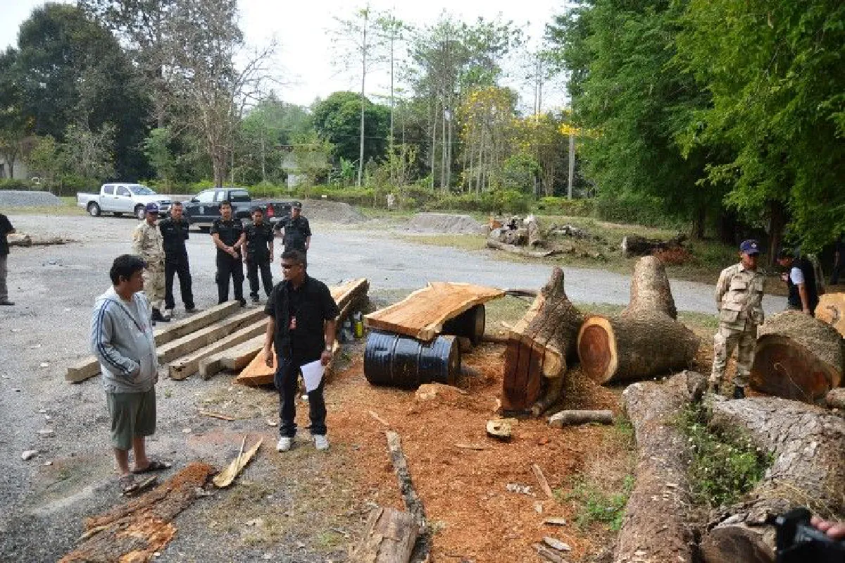 เจ้าหน้าที่ยึดไม้หวงห้ามจำนวนมากรอตรวจสอบขอแปรรูปถูกต้องหรือไม่