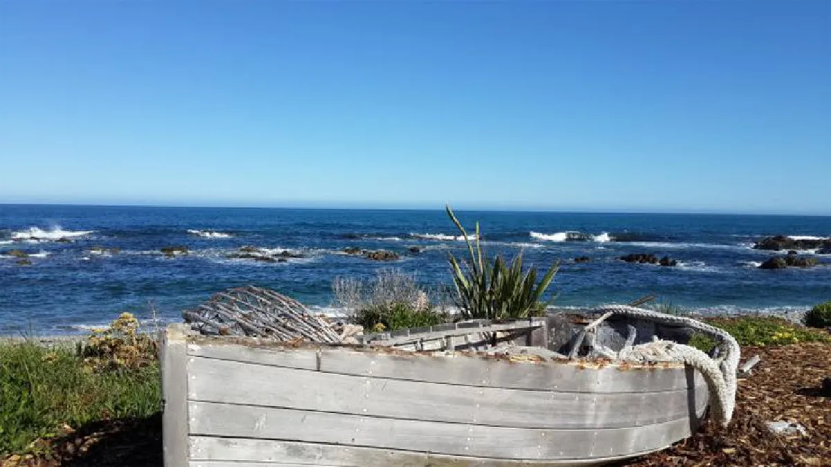 บางกอกบิ๊กเอียร์ส เว็บหูใหญ่ที่ให้มากกว่าเรื่องเที่ยว