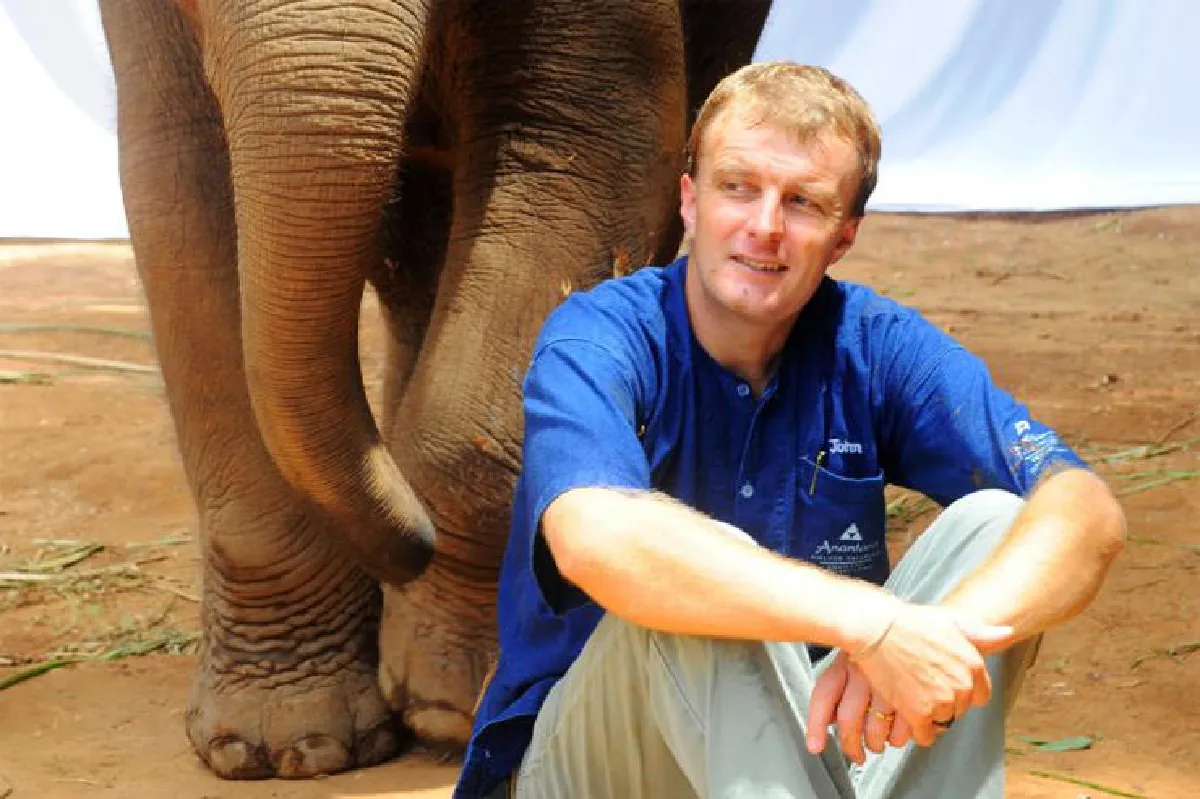 น่ายินดีและยังเป็นห่วง "วันช้างไทย"