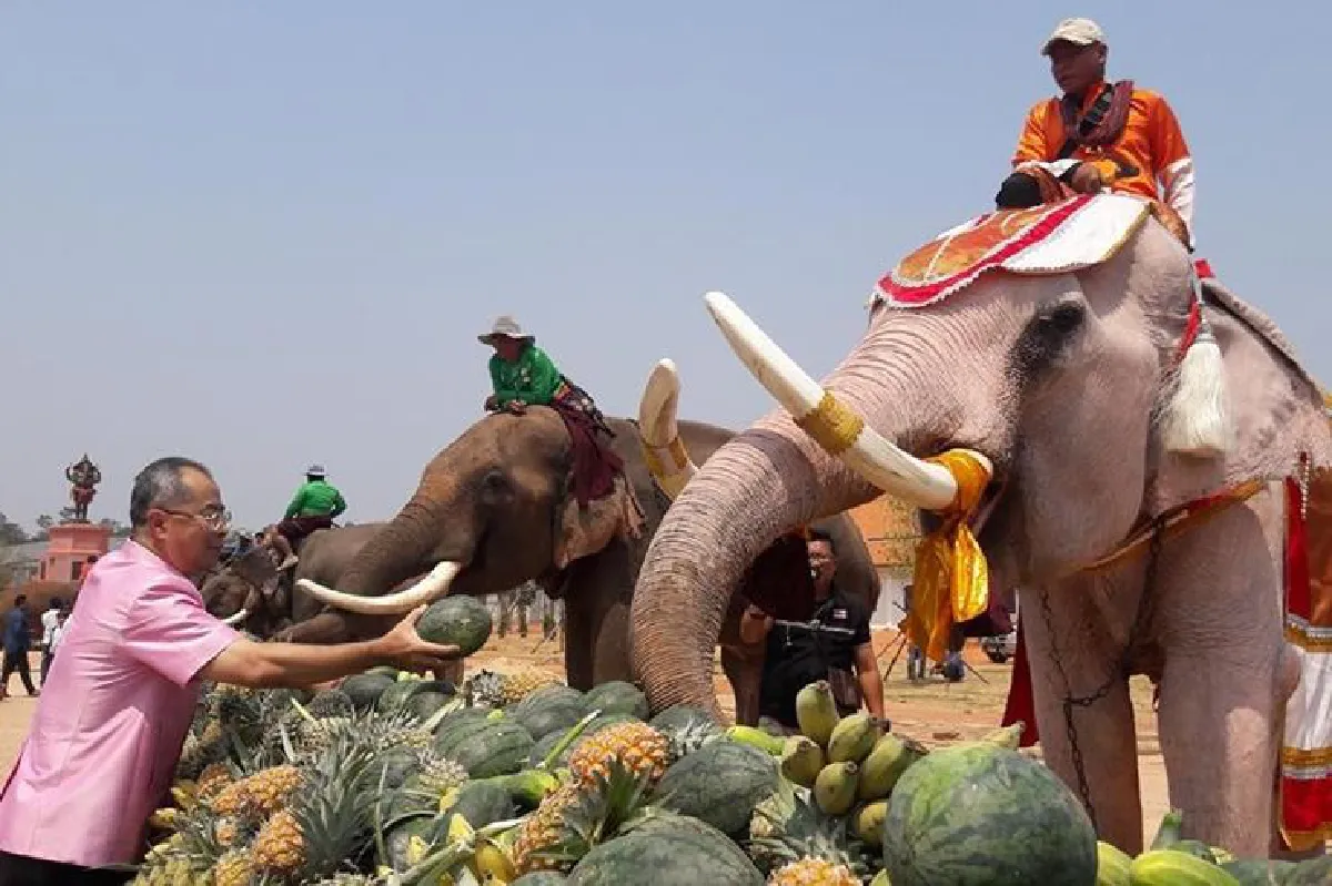 งานวันช้างไทยที่สุรินทร์จัดใหญ่นักท่องเที่ยวแห่ความงานคึก