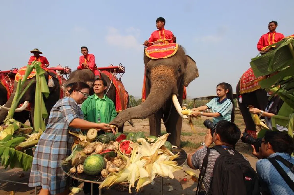 กรุงเก่าจัดใหญ่เลี้ยงโต๊ะจีนช้างเนื่องในวันช้างไทย