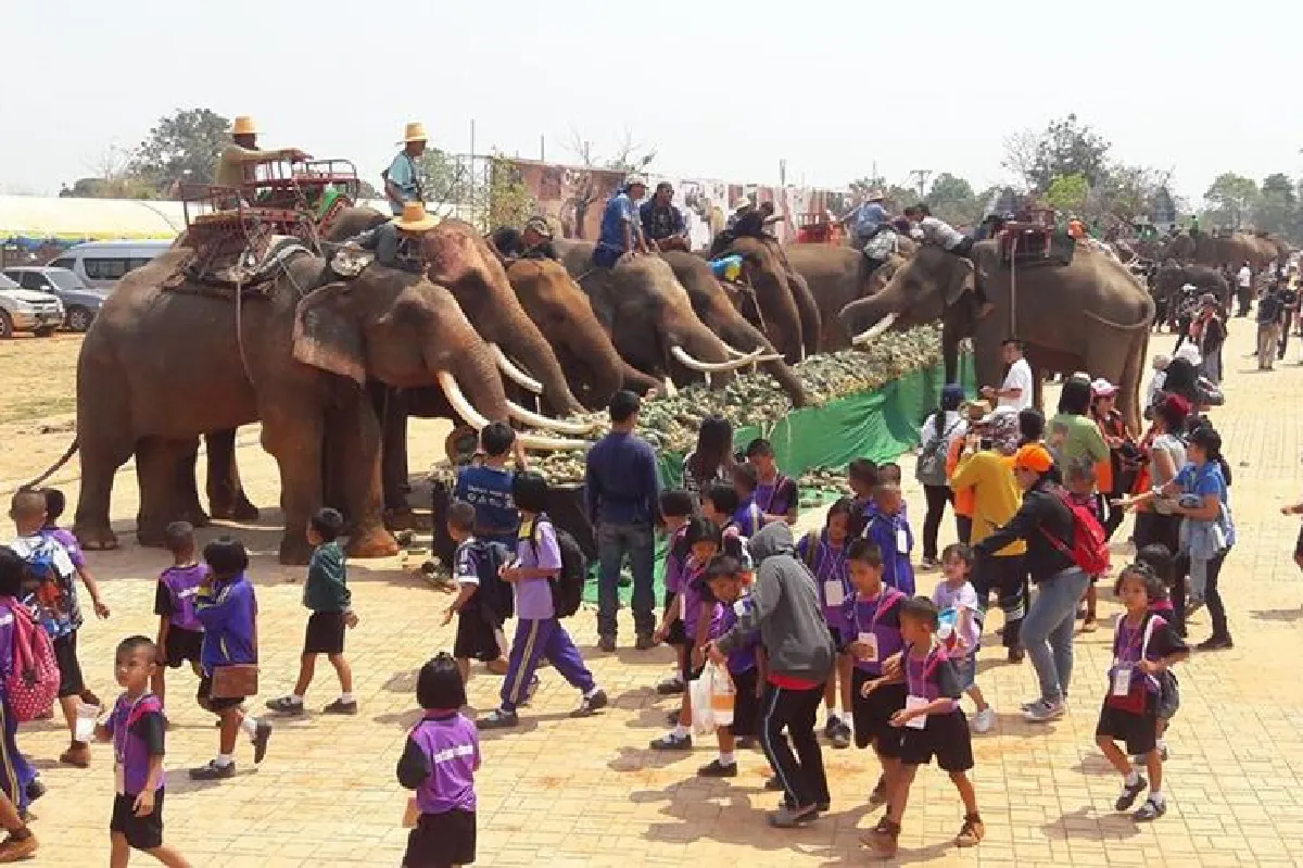 งานวันช้างไทยที่สุรินทร์จัดใหญ่นักท่องเที่ยวแห่ความงานคึก